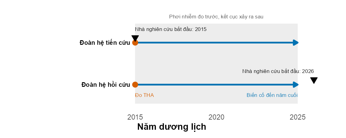 Hai mũi tên song song từ năm khám nền đến năm cuối theo dõi. Ở đoàn hệ tiến cứu, nhà nghiên cứu bắt đầu ở đầu mũi tên; ở đoàn hệ hồi cứu, nhà nghiên cứu bắt đầu sau khi mũi tên đã kết thúc.